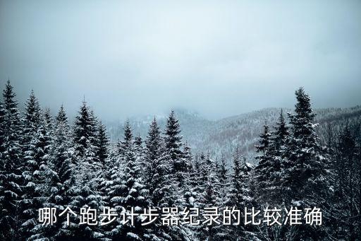 哪个跑步计步器纪录的比较准确