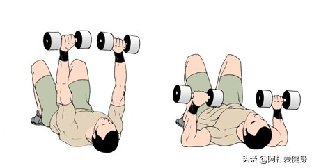 哑铃健身椅什么牌子好_卧推肩膀疼痛缓解_地板哑铃卧推肩部训练