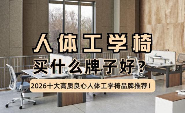 2025全年免费资料查询 人体工学椅买什么牌子好？2026十大高质良心人体工学椅品牌推荐！