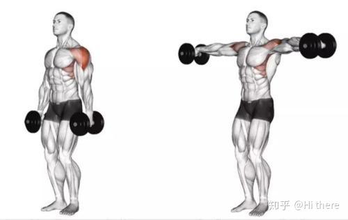 健身解剖词汇_健身入门词汇_健身椅推荐