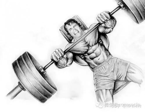 健身解剖词汇_健身入门词汇_健身椅推荐