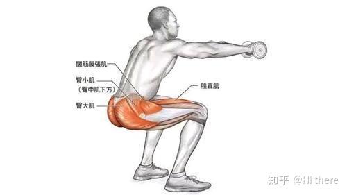 健身入门词汇_健身椅推荐_健身解剖词汇