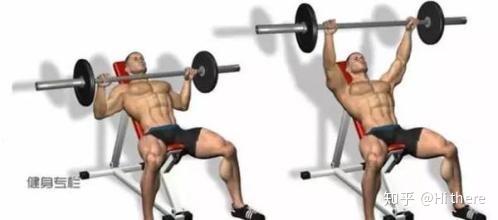 健身解剖词汇_健身椅推荐_健身入门词汇