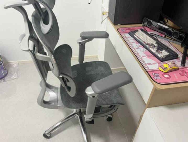 健身椅挑选_SumLush夏草木评测_人体工学椅选购指南