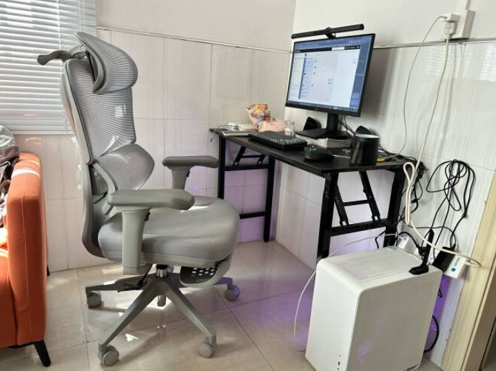 人体工学椅选购指南_避雷智商税人体工学椅_健身椅挑选