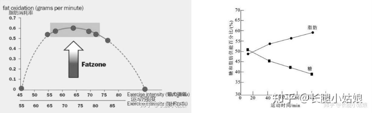 2025全年免费资料查询 家用跑步机选购全攻略：高性价比跑步机推荐(收藏)