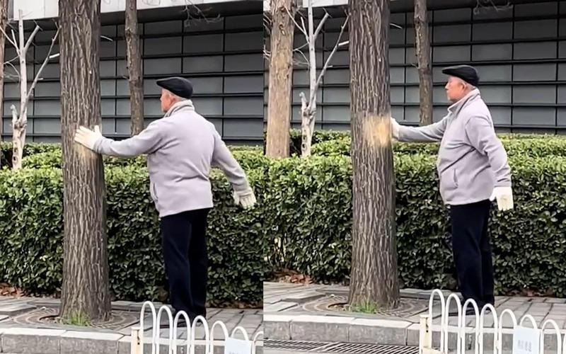 2025年天天免费资料,2025 天冷坚持晨练戴手套，过 3 个月，手部循环和抗寒力或明显提升