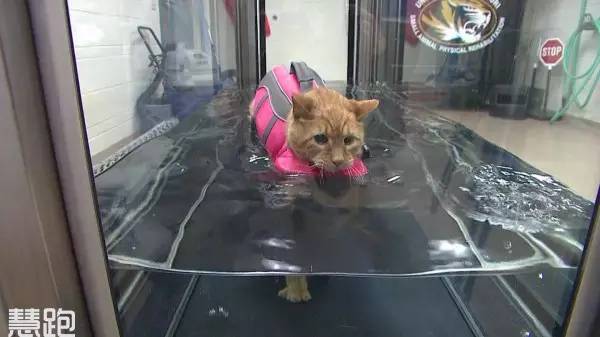 反重力跑步机原理_高端跑步机_家用跑步机