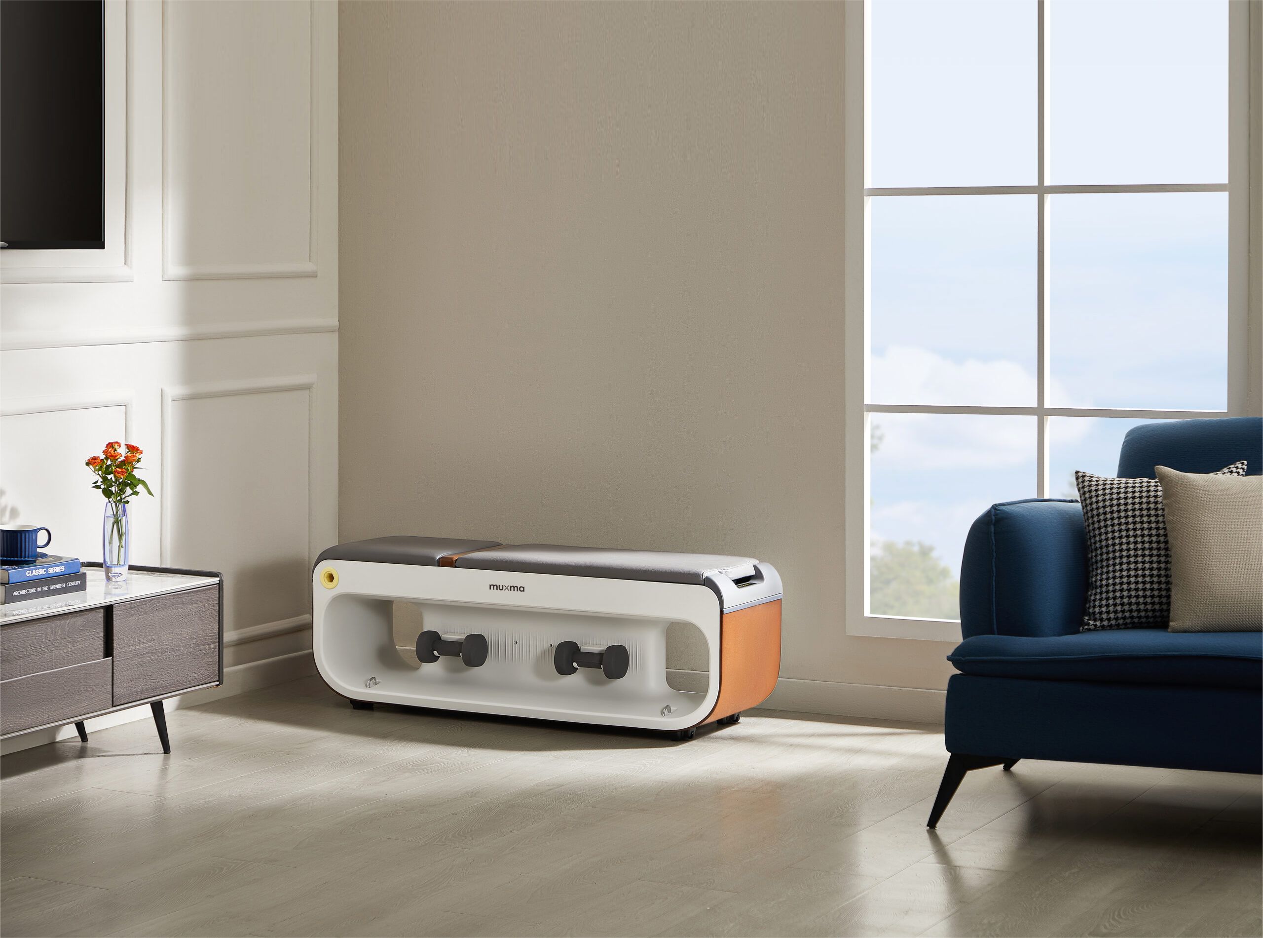 沐小马居家健身凳_智能化力量器械居家场景_多功能哑铃凳健身椅