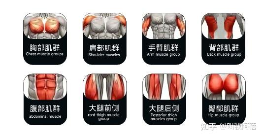 2025天天彩资料大全最新版 疯拿铁、创思维、斯诺德、马西、军霞、卓牌、美力德、康强