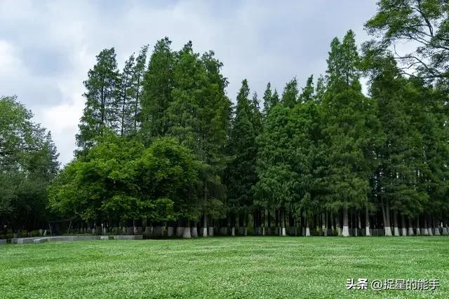 2025精准资料天天免费下载 别再做“监工式”家长了！真正拉高孩子起跑线的，是这3种智慧