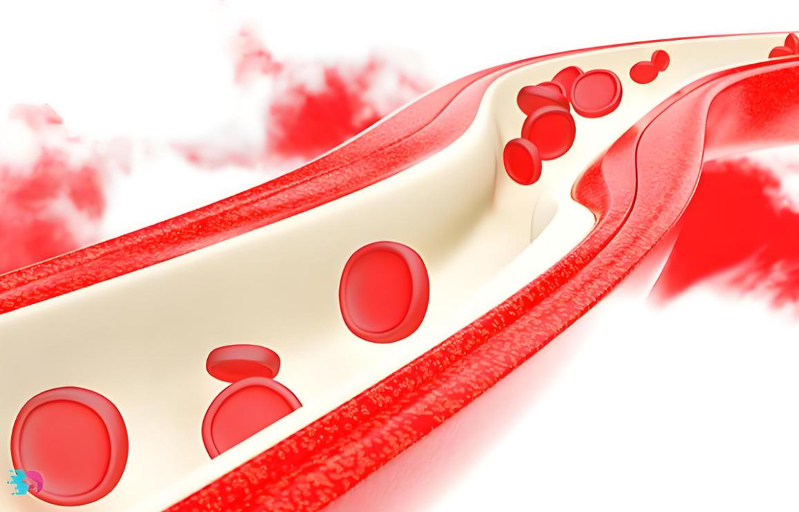 柚皮素抗血栓作用_孕妇吃西柚有什么好处_葡萄柚降压效果研究