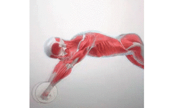 还在仰卧起坐？买了这个腹肌神器，你会发现之前锻炼都白做了