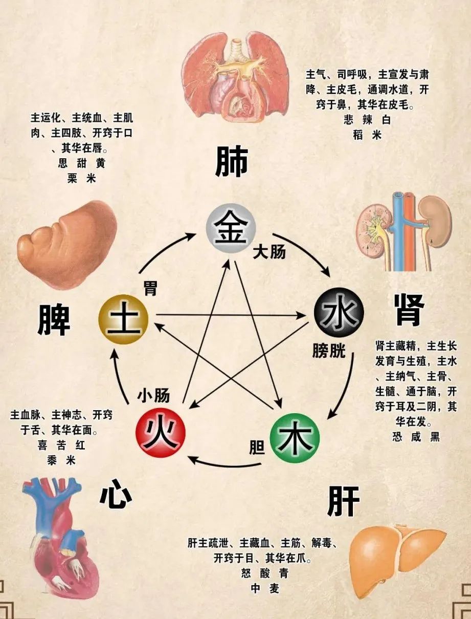 腰部减肥健美体操_八段锦动作功效_八段锦中医理论