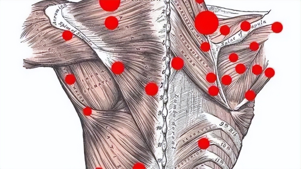 八段锦动作功效_腰部减肥健美体操_八段锦中医理论