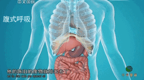 八段锦动作功效_八段锦中医理论_腰部减肥健美体操