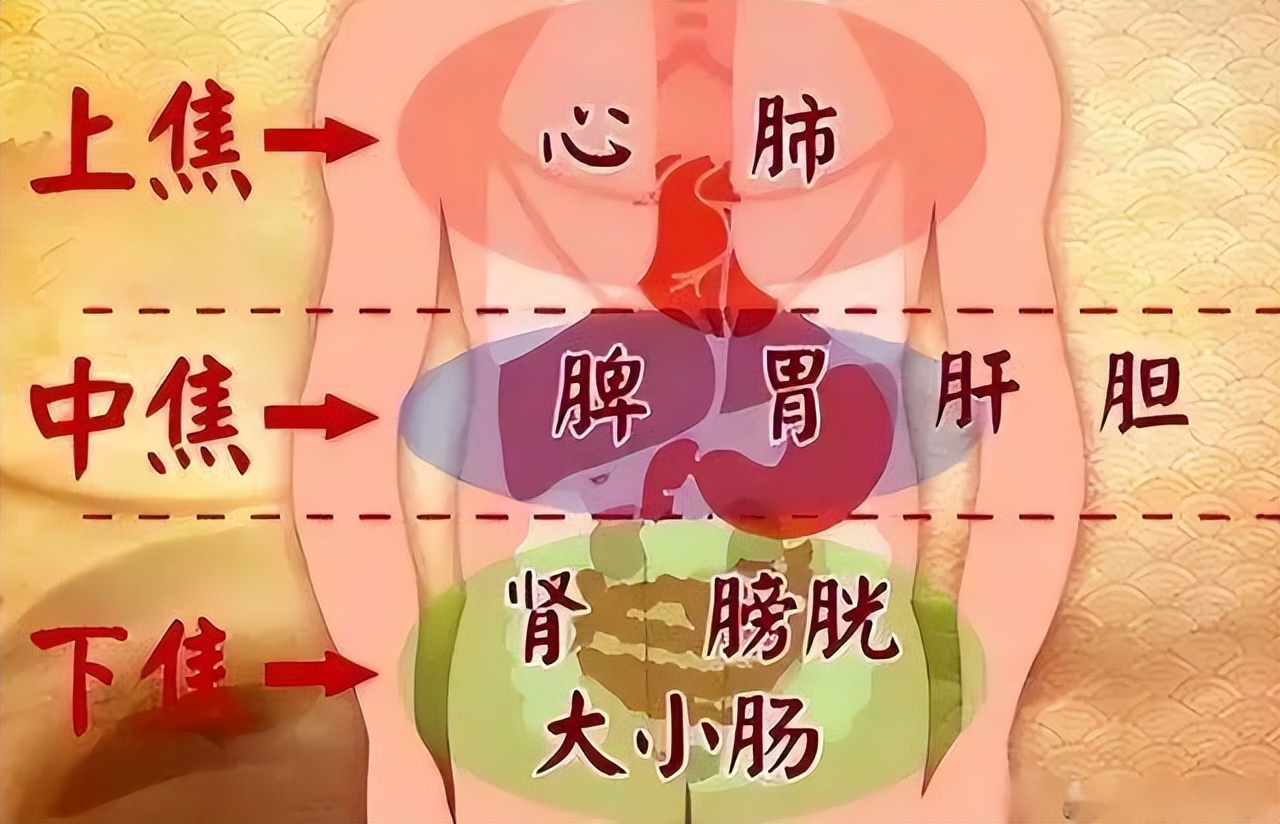 八段锦动作功效_腰部减肥健美体操_八段锦中医理论
