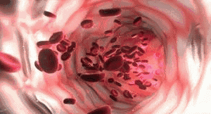 腰部减肥健美体操_八段锦中医理论_八段锦动作功效