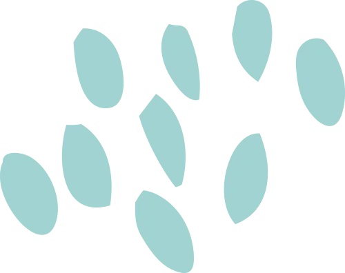 新澳门天天免费谜语下载 12个项目、52个班次！全嘉·邻里健身夜校第二期报名启动