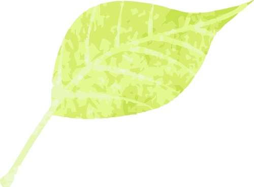 酒泉瑜伽苑健身_全嘉社区运动健康中心瑜伽教师_全嘉社区运动健康中心尊巴教师