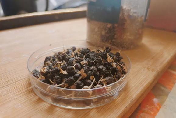 新澳门天天免费谜语解法答案 经常用黑枸杞泡水喝，对身体会有哪些好处