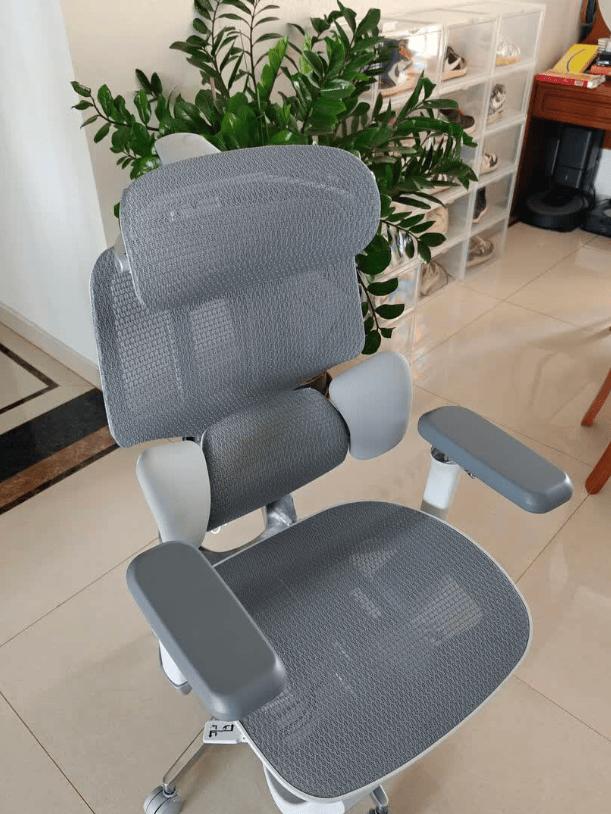 人体工学电脑椅选购指南_健身椅什么牌子好_避坑推荐