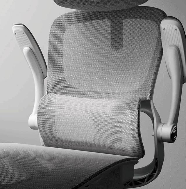 健身椅怎么选_高性价比护腰支撑椅子推荐_人体工学椅选购攻略