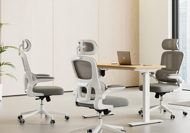 健身椅怎么选_人体工学椅选购攻略_高性价比护腰支撑椅子推荐