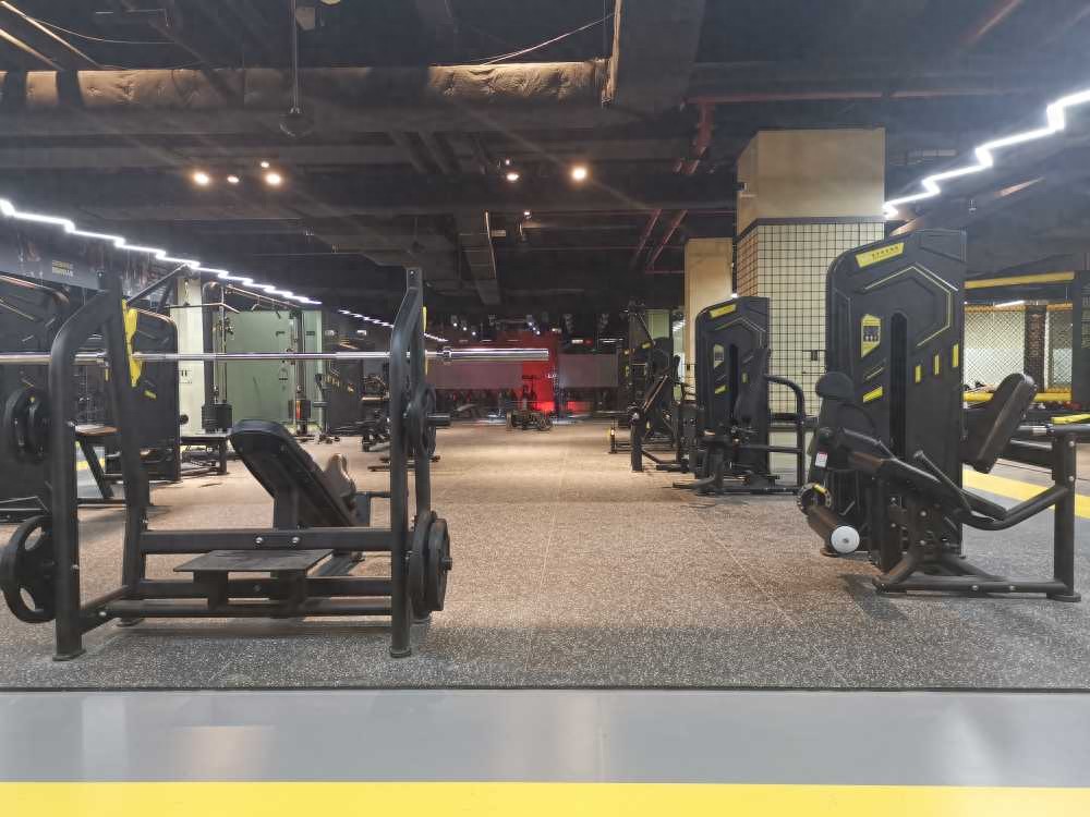 2025天天彩资料免费版官网 大家好！我是你们的健身器材推荐官